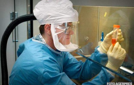 Premiera mondiala: Celule stem implantate in ochi