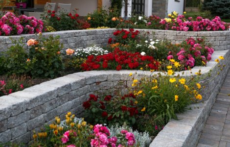  Foto  Cum se poate transforma gradina intr-o oaza de relaxare