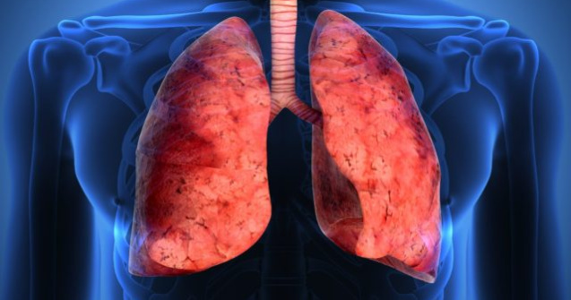  Video  Descoperire revolutionara. Plamanii au inca o functie