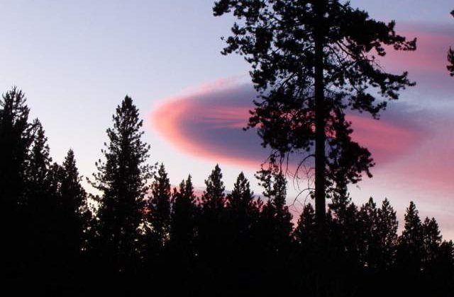 Astrobiolog: Invazia extraterestrilor a inceput deja!