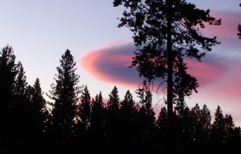 Astrobiolog: Invazia extraterestrilor a inceput deja!