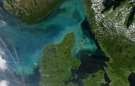 Danemarca, amenintata de teroristi