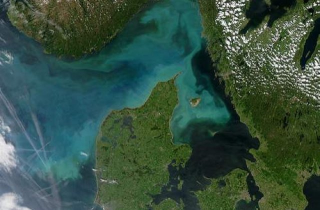 Danemarca, amenintata de teroristi