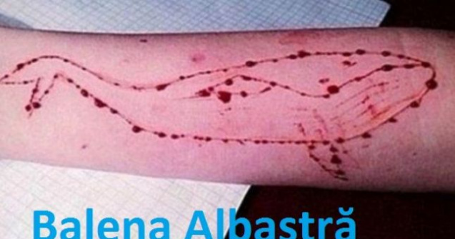 Carmen Dan si Gabriela Firea lanseaza o campania impotriva "Balenei"