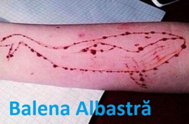 Carmen Dan si Gabriela Firea lanseaza in scolile din Capitala campania impotriva jocului "Balena Albastra"