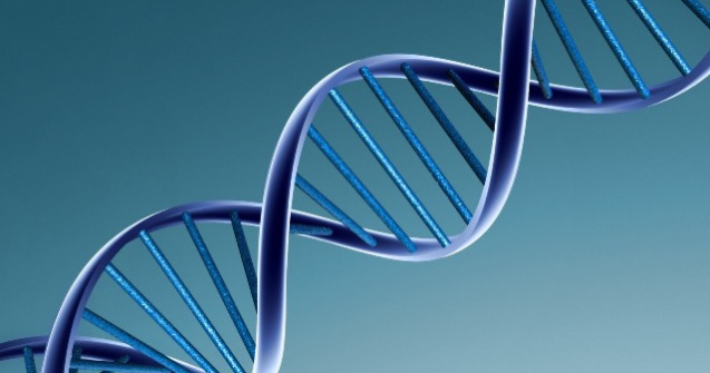 Frica de esec este ascunsa adanc in ADN-ul nostru, spun psihologii