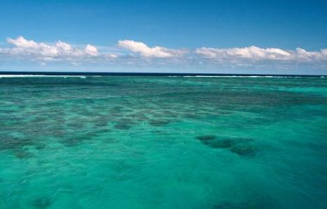 Salvati, dupa ce au plutit in deriva 50 de zile