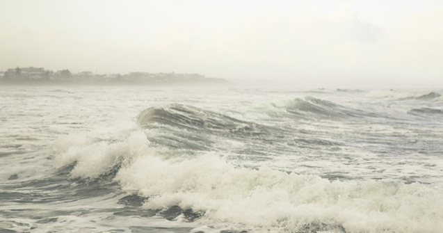 Cod GALBEN de ceata in judetul Constanta