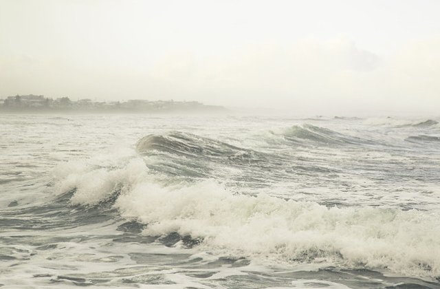 Cod GALBEN de ceata in judetul Constanta
