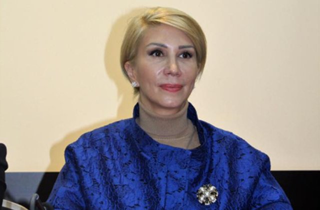 Turcan: Grindeanu nu isi asuma raspunderea pentru ca stie ca va zbura din fruntea Guvernului