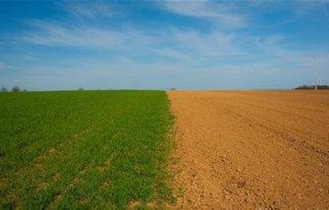 Proprietarii de terenuri, obligati sa le curete