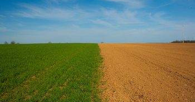 Proprietarii de terenuri, obligati sa le curete