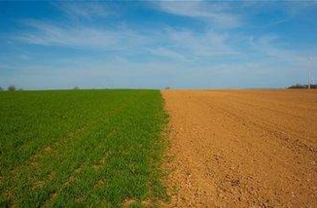 Proprietarii de terenuri, obligati sa le curete