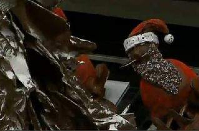 [VIDEO] Brad din ciocolata, de 10 metri!