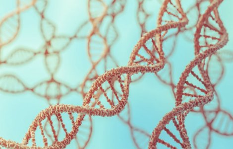  Top  7 trasaturi pe care nu stiai ca le-ai mostenit de la parinti