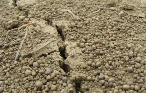 Cinci cutremure in mai putin de opt ore. Patru dintre ele s-au produs in Prahova