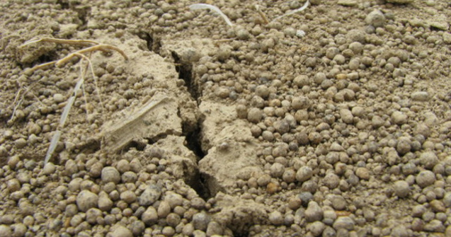 Cinci cutremure in mai putin de opt ore. Patru dintre ele s-au produs in Prahova