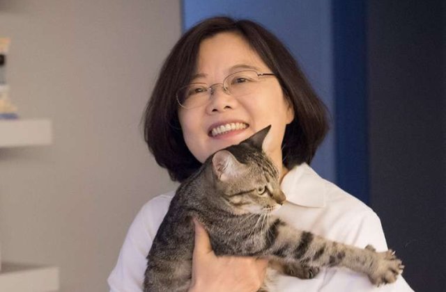 Taiwan va interzice consumul de carne de pisica si caine