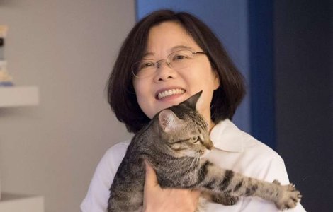 Taiwan va interzice consumul de carne de pisica si caine