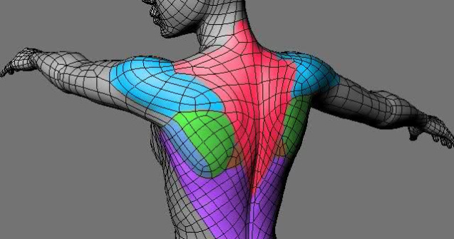 Corpul ne trimite mereu semnale. Le ascultam?