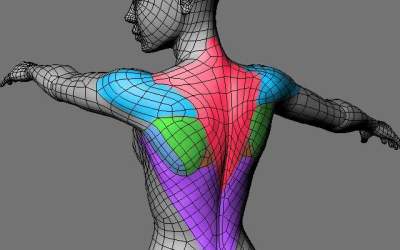 Corpul ne trimite mereu...