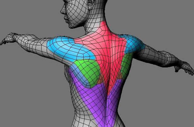 Corpul ne trimite mereu semnale. Le ascultam?