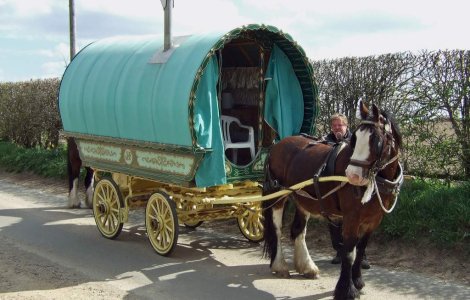 ONG-urile participa la un mars pentru pastrarea denumirii "rom"