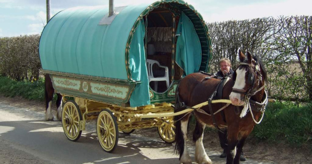 ONG-urile participa la un mars pentru pastrarea denumirii "rom"