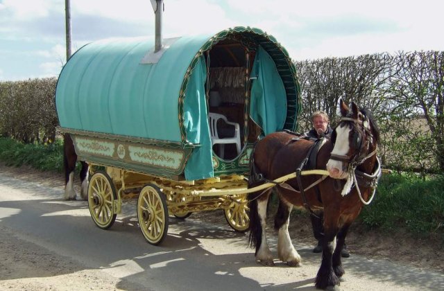 ONG-urile participa la un mars pentru pastrarea denumirii "rom"