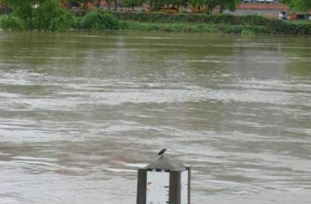 Cod galben de inundatii