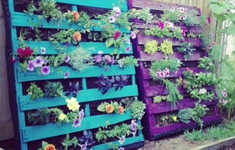  Top  10 idei de infrumusetare a gradinilor in cel mai ieftin mod