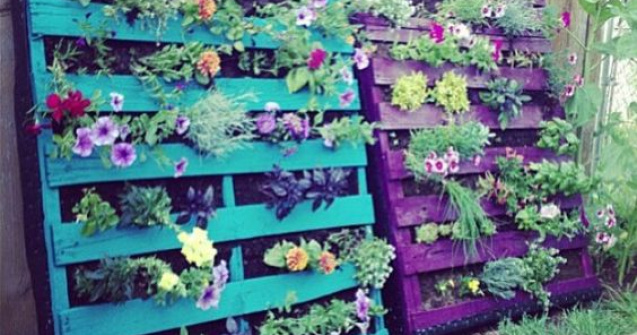  Top  10 idei de infrumusetare a gradinilor in cel mai ieftin mod