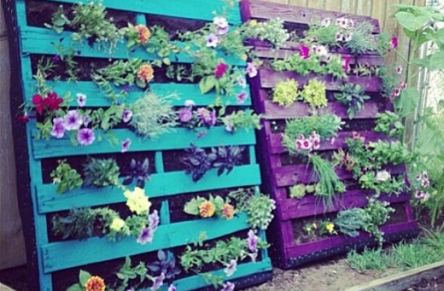 10 idei de infrumusetare a gradinilor in cel mai ieftin mod