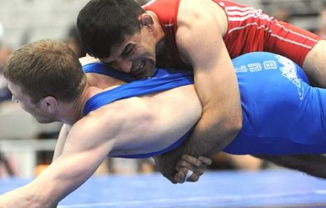 Cel mai bun luptator roman in 2010