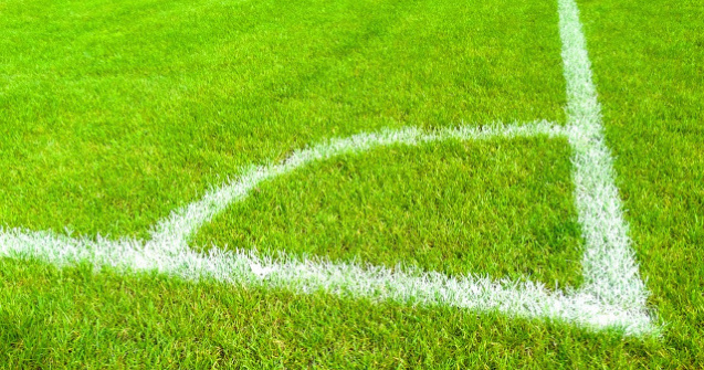  Foto  Fotbalistii echipei FC Copenhaga au fost atacati cu sobolani morti