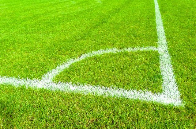 [Foto] Fotbalistii echipei FC Copenhaga au fost atacati cu sobolani morti