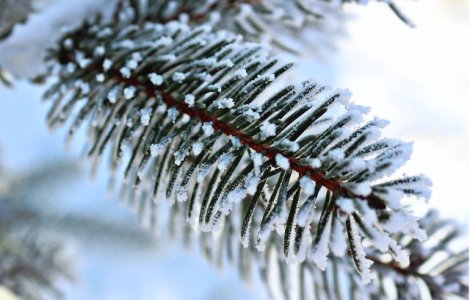 Cod PORTOCALIU de ninsori in zona de munte, cod GALBEN de ploi si vant in restul tarii