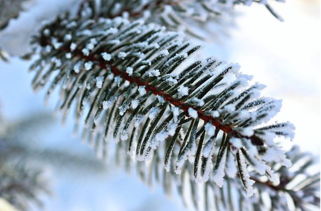 Cod PORTOCALIU de ninsori in zona de munte, cod GALBEN de ploi si vant in restul tarii