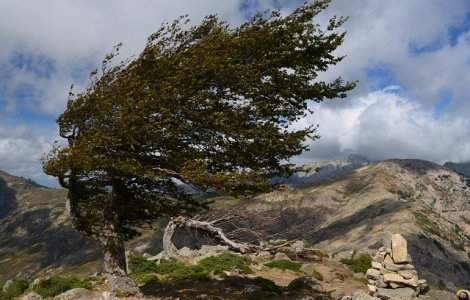 Cod portocaliu de ninsori, ploi si vant in 11 judete din centrul si estul tarii, cod galben in Bucuresti si 29 de judete