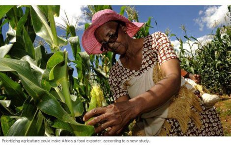 Africa, unul dintre marii producatori agricoli la nivel mondial?