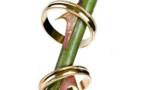 Cuplurile internationale vor putea alege legislatia pentru divort