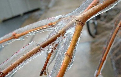  Video  Fenomenul "ploaie inghetata" in Romania