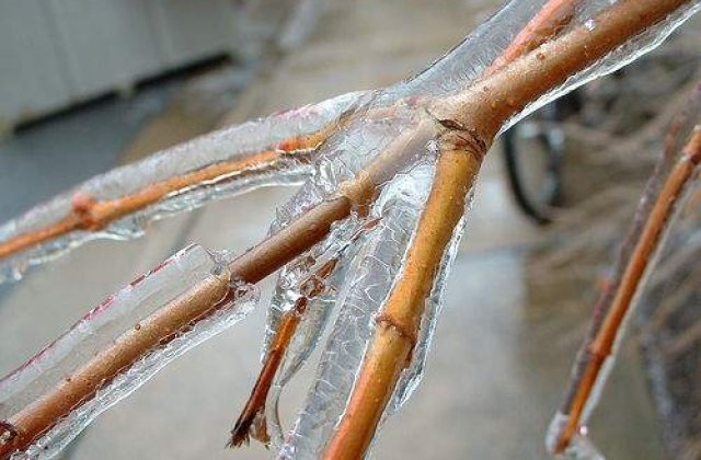 [VIDEO] Fenomenul "ploaie inghetata" in Romania