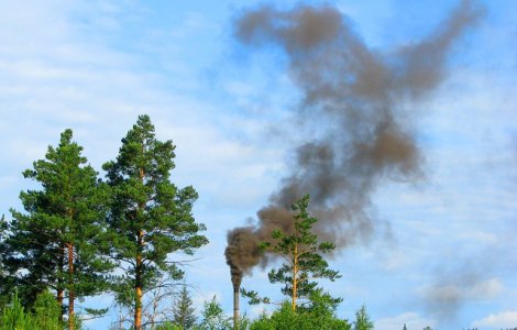 Greenpeace lanseaza Praf de Romania, o campanie pentru imbunatatirea calitatii aerului