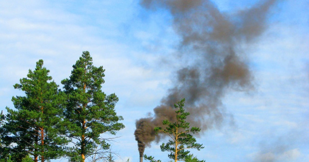 Greenpeace lanseaza Praf de Romania, o campanie pentru imbunatatirea calitatii aerului