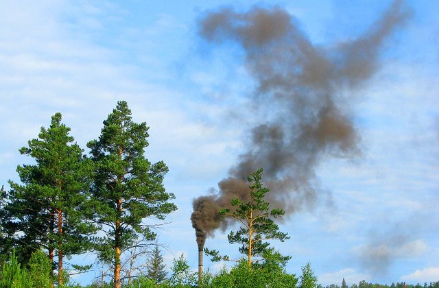 Greenpeace lanseaza  Praf de Romania, o campanie pentru imbunatatirea calitatii aerului