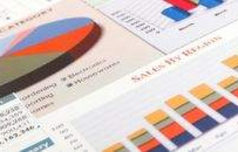 Cum sustine statul piata de capital