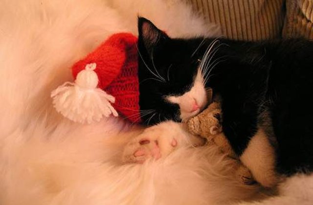 [Slideshow] Vino si tu la Targul Cadourilor de Craciun!