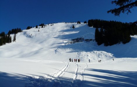 Sase persoane, audiate in cazul mortii alpinistilor