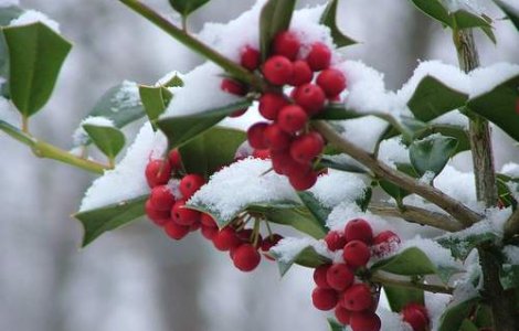  Top   Slideshow  Sfatul nutritionistului: Cum ne hranim in anotimpul rece